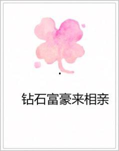 钻石富豪来相亲