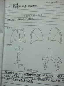放学后病历簿,揭秘校园健康守护的日常